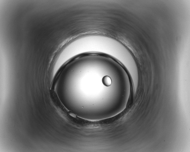 X0000085780252200703161213