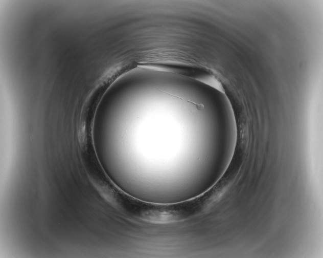 X0000085780254200703161213