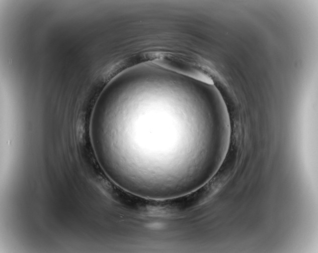 X0000085780259200703161213