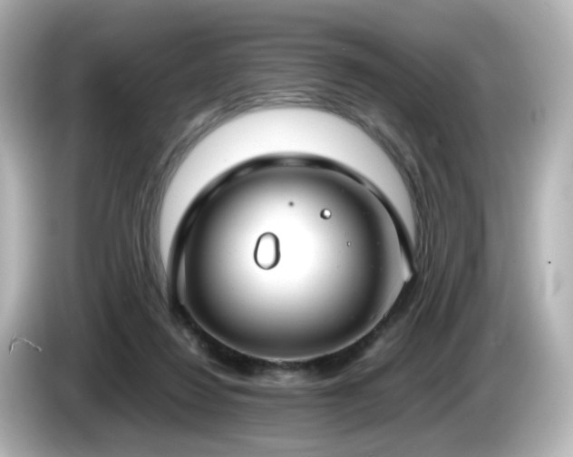 X0000085780260200703161213