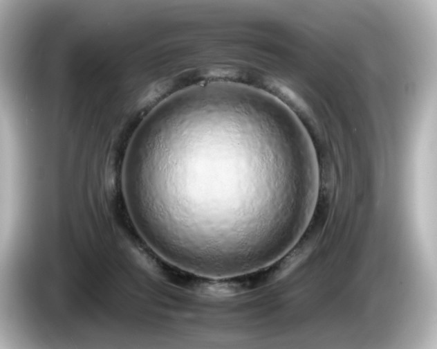 X0000085780261200703161213