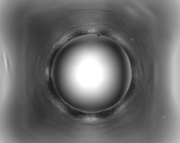 X0000085780262200703161213