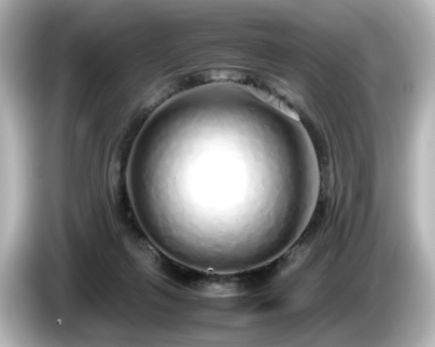 X0000085780263200703161213