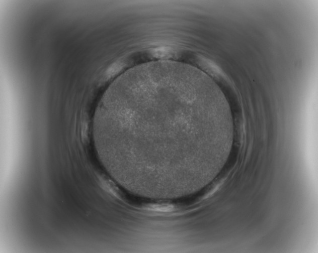 X0000085780266200703161213