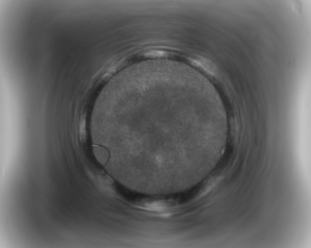 X0000085780267200703161213