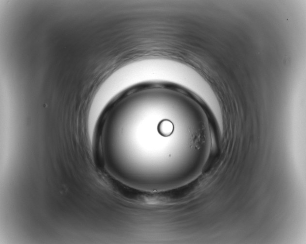 X0000085780268200703161213