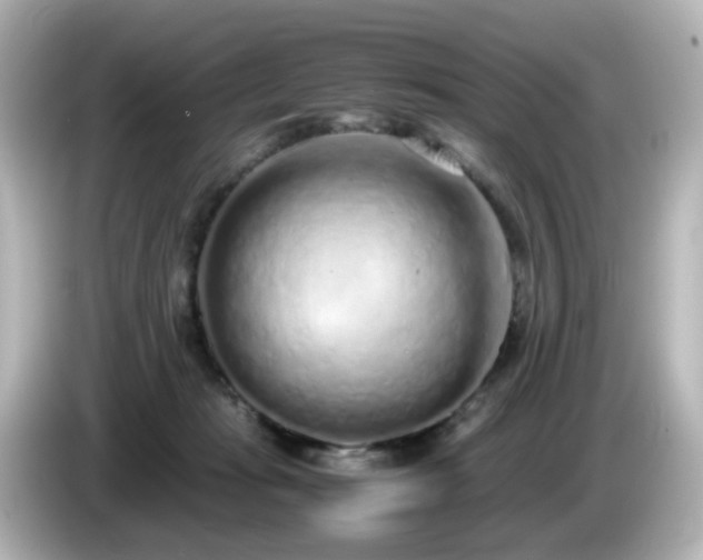 X0000085780269200703161213