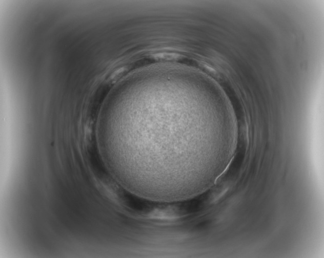 X0000085780271200703161213