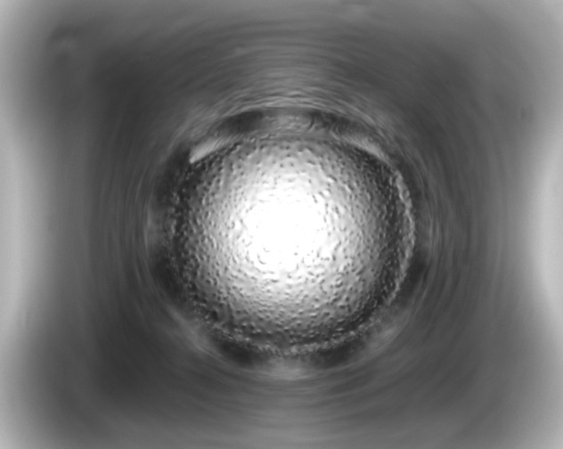 X0000085780272200703161213