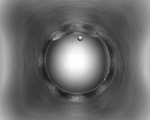 X0000085780274200703161213