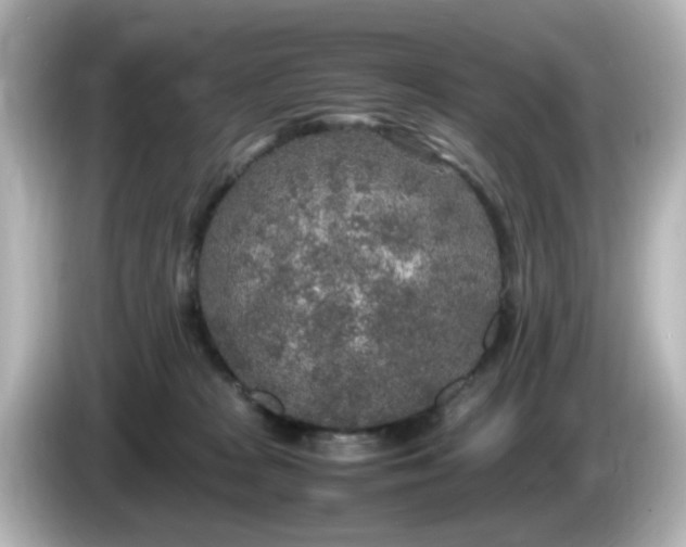 X0000085780277200703161213