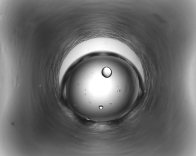 X0000085780280200703161213