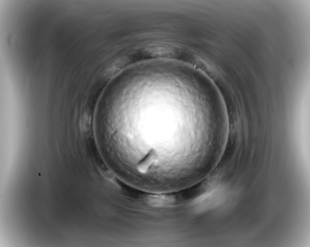 X0000085780281200703161213