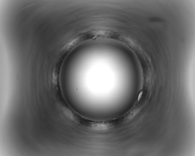 X0000085780282200703161213