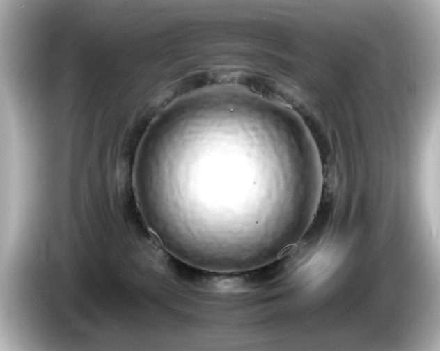 X0000085780283200703161213