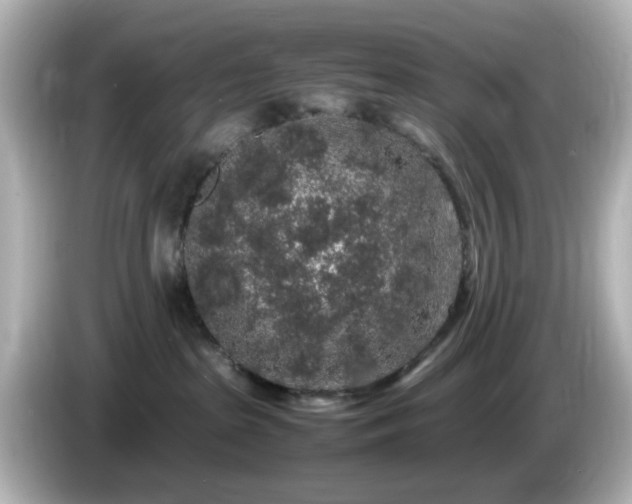 X0000085780285200703161213