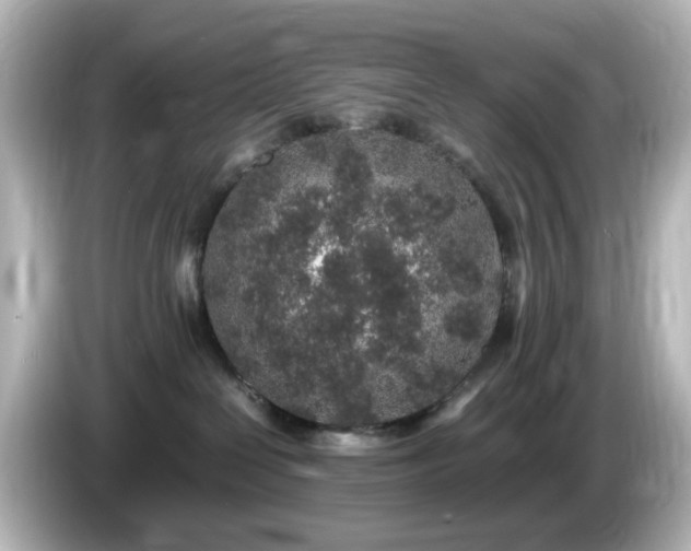 X0000085780286200703161213