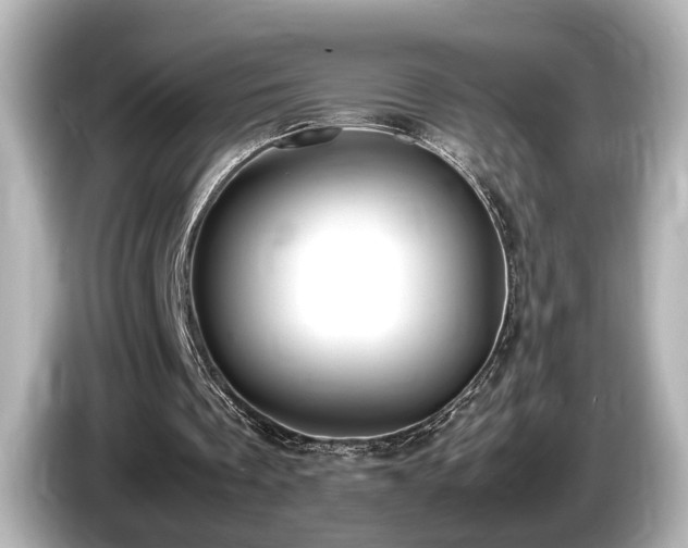 X0000085780289200703161212