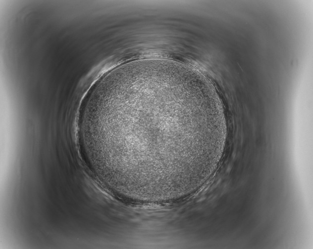 X0000085780290200703161212