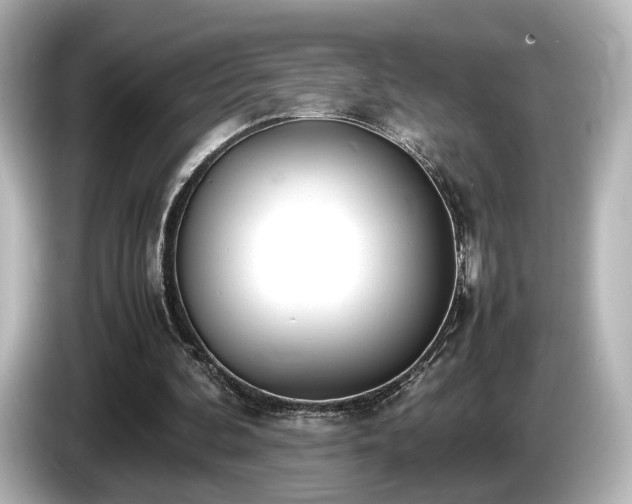 X0000085780292200703161212