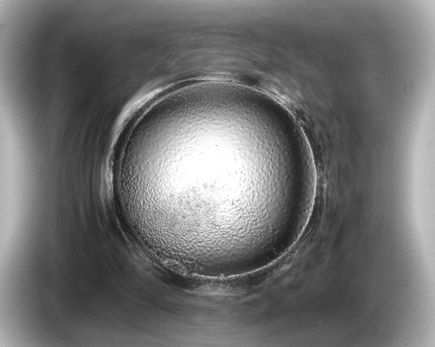 X0000085780294200703161212