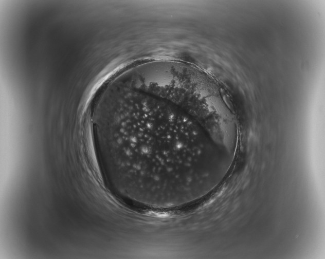 X0000085780295200703161212