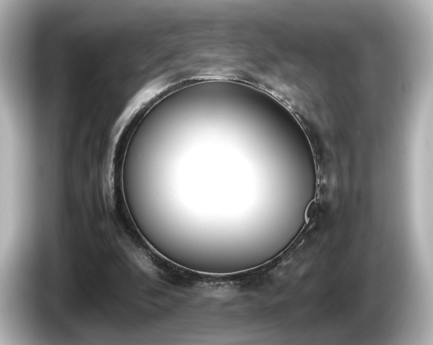 X0000085780296200703161212