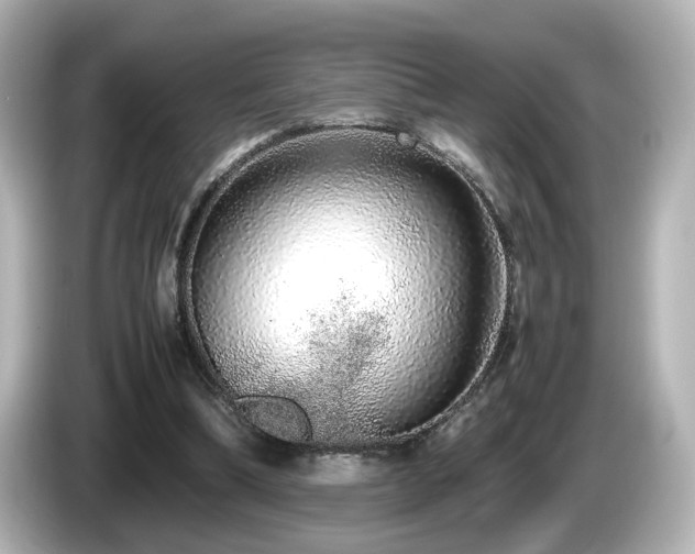 X0000085780298200703161212