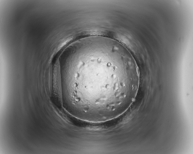 X0000085780299200703161212