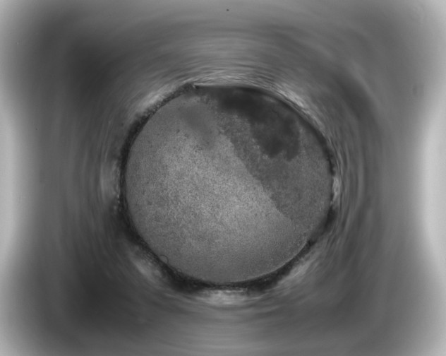 X0000085780303200703161212