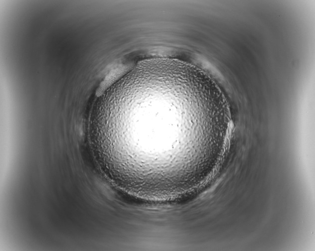 X0000085780305200703161212