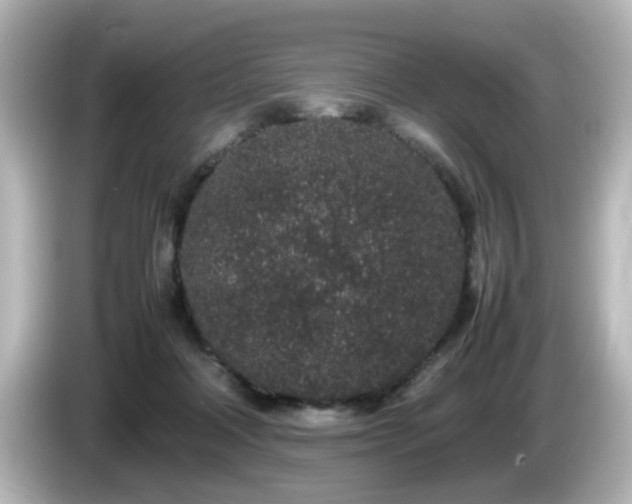 X0000085780314200703161212