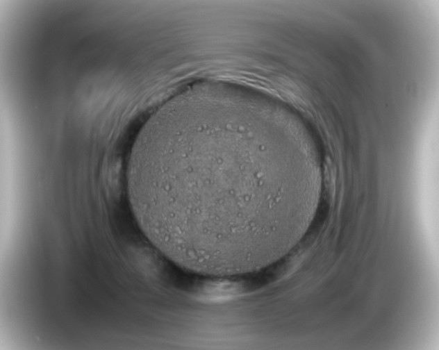 X0000085780319200703161212