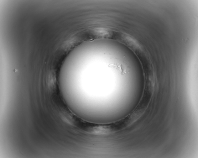 X0000085780320200703161212