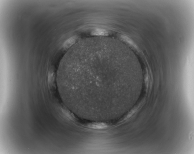 X0000085780322200703161212