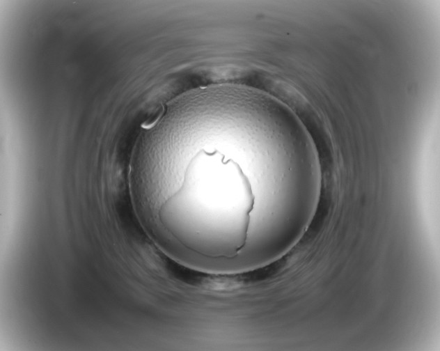 X0000085780327200703161212