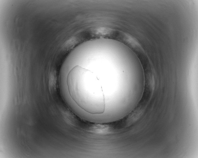 X0000085780328200703161212