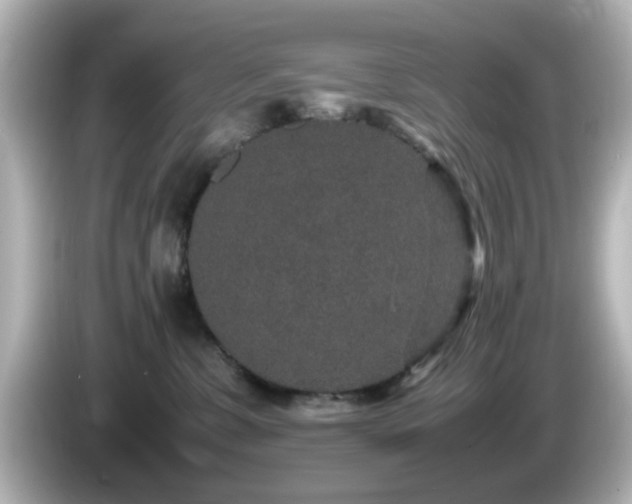 X0000085780331200703161212