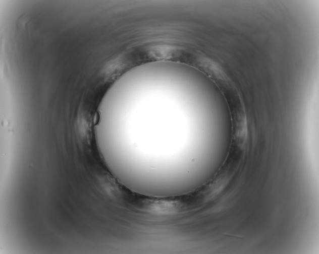 X0000085780332200703161212