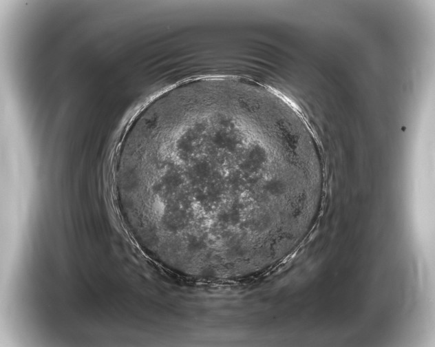 X0000085780337200703161211