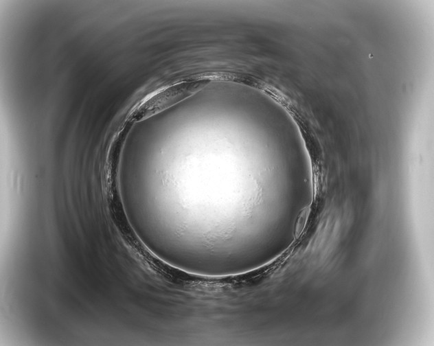 X0000085780339200703161211