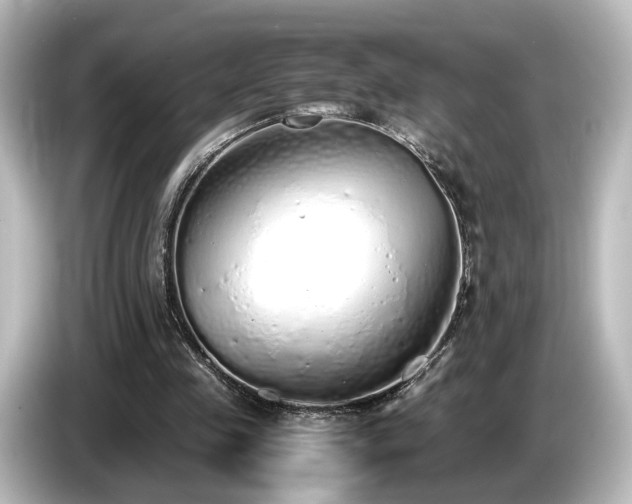 X0000085780341200703161211