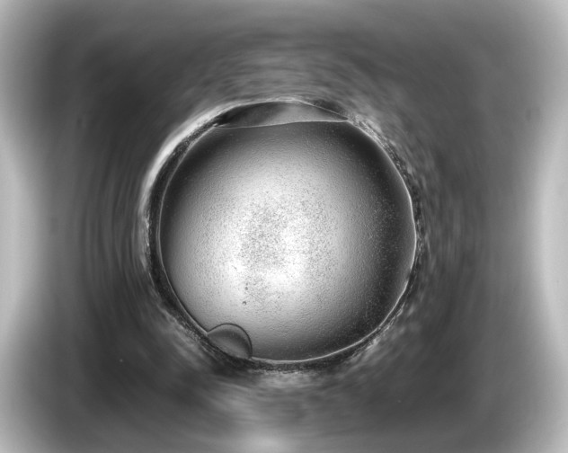 X0000085780342200703161211