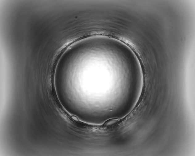 X0000085780345200703161211