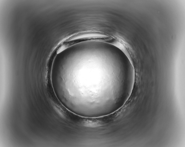 X0000085780346200703161211