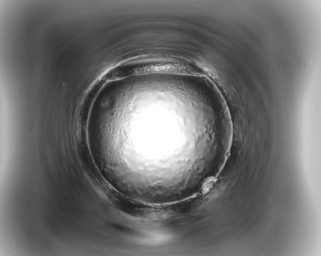 X0000085780347200703161211