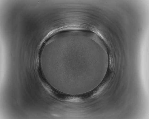 X0000085780348200703161211