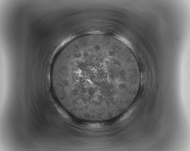 X0000085780349200703161211