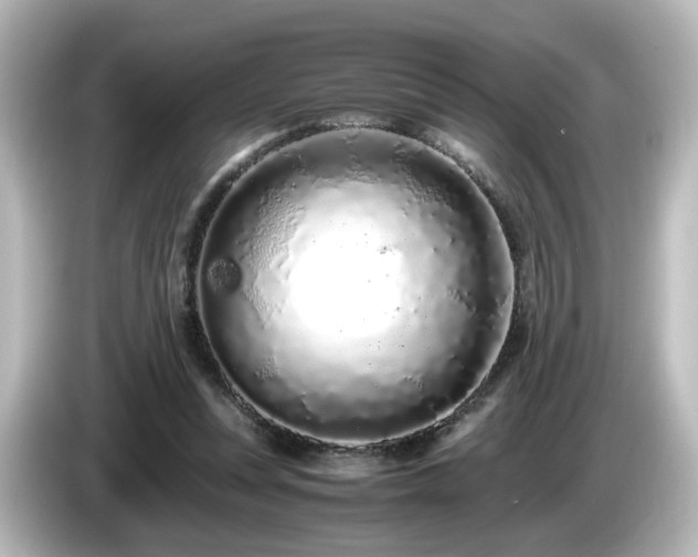 X0000085780351200703161211