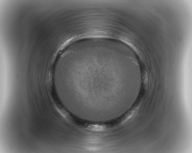 X0000085780352200703161211